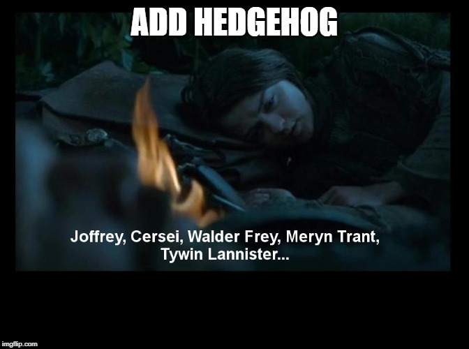 Arya Stark's dead list | ADD HEDGEHOG | image tagged in arya stark's dead list | made w/ Imgflip meme maker