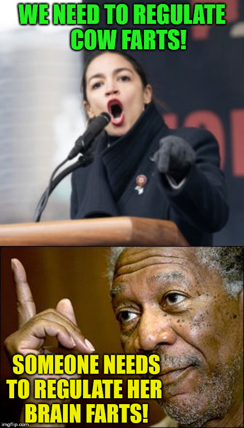 Regulate the Regulators | WE NEED TO REGULATE       COW FARTS! SOMEONE NEEDS TO REGULATE HER      BRAIN FARTS! | image tagged in this morgan freeman,alexandria ocasio-cortez,memes,he's right you know,evil cows,brain | made w/ Imgflip meme maker