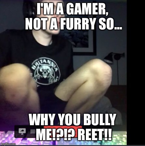  I'M A GAMER, NOT A FURRY SO... WHY YOU BULLY ME!?!? REET!! | image tagged in why you bully me | made w/ Imgflip meme maker