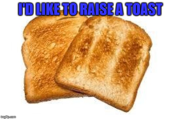 Toast | I'D LIKE TO RAISE A TOAST | image tagged in toast | made w/ Imgflip meme maker