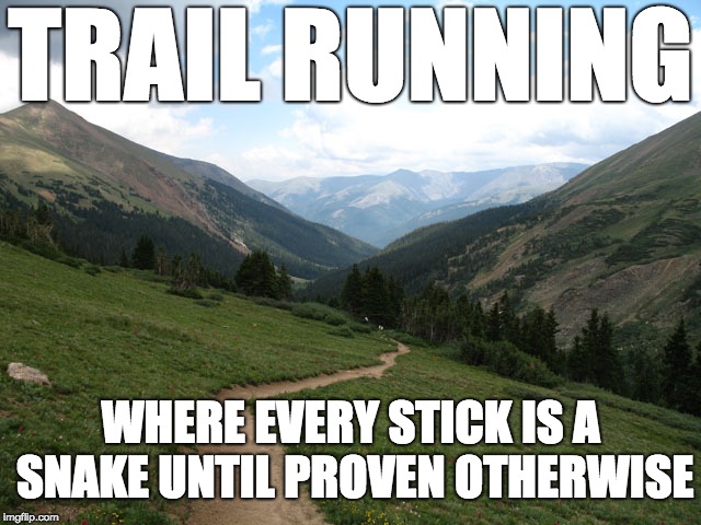 TRAIL RUNNING; WHERE EVERY STICK IS A SNAKE UNTIL PROVEN OTHERWISE | image tagged in hike | made w/ Imgflip meme maker
