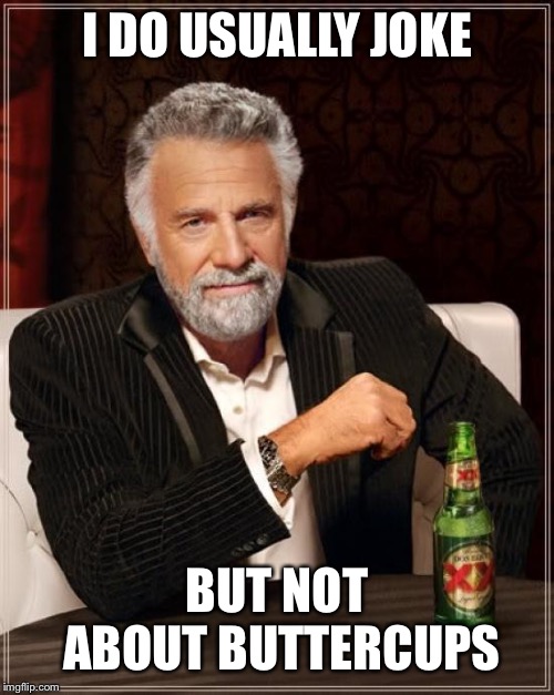 The Most Interesting Man In The World Meme | I DO USUALLY JOKE; BUT NOT ABOUT BUTTERCUPS | image tagged in memes,the most interesting man in the world | made w/ Imgflip meme maker
