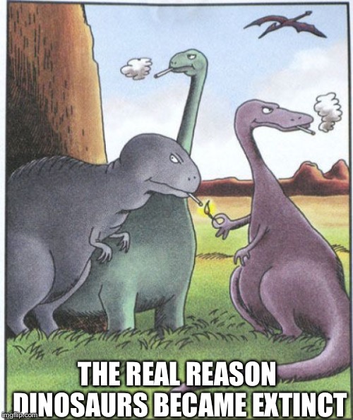 THE REAL REASON DINOSAURS BECAME EXTINCT | image tagged in smoking | made w/ Imgflip meme maker