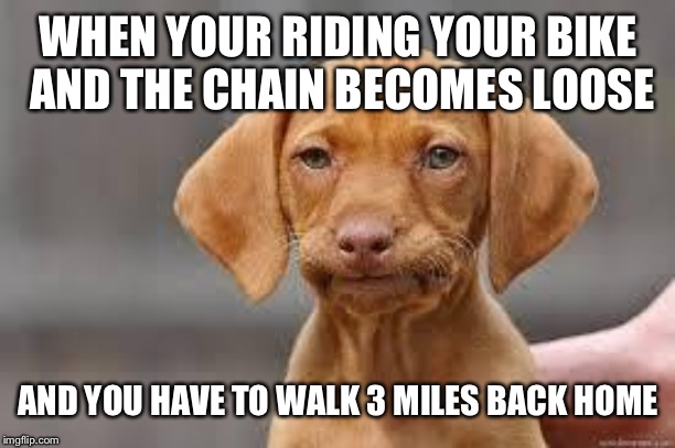 True story just happened today | WHEN YOUR RIDING YOUR BIKE AND THE CHAIN BECOMES LOOSE; AND YOU HAVE TO WALK 3 MILES BACK HOME | image tagged in disappointed dog | made w/ Imgflip meme maker