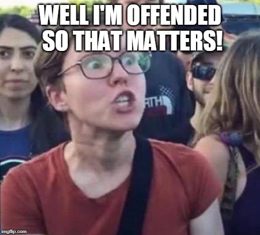 Angry Liberal | WELL I'M OFFENDED SO THAT MATTERS! | image tagged in angry liberal | made w/ Imgflip meme maker