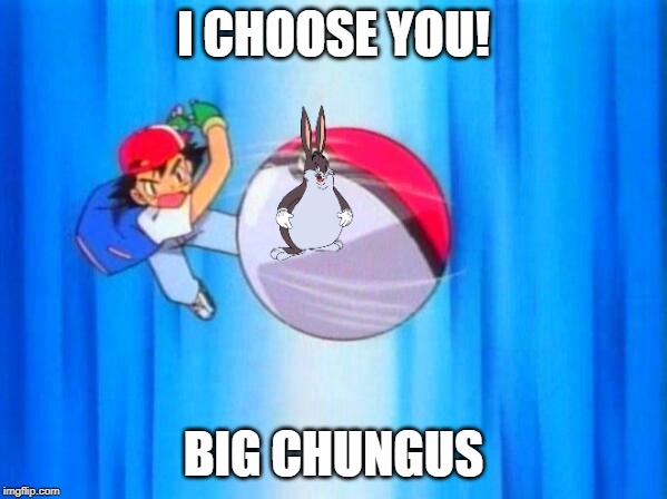 I choose you! | I CHOOSE YOU! BIG CHUNGUS | image tagged in i choose you | made w/ Imgflip meme maker