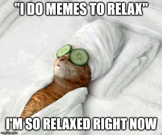 Relaxicat | "I DO MEMES TO RELAX"; I'M SO RELAXED RIGHT NOW | image tagged in relaxicat | made w/ Imgflip meme maker