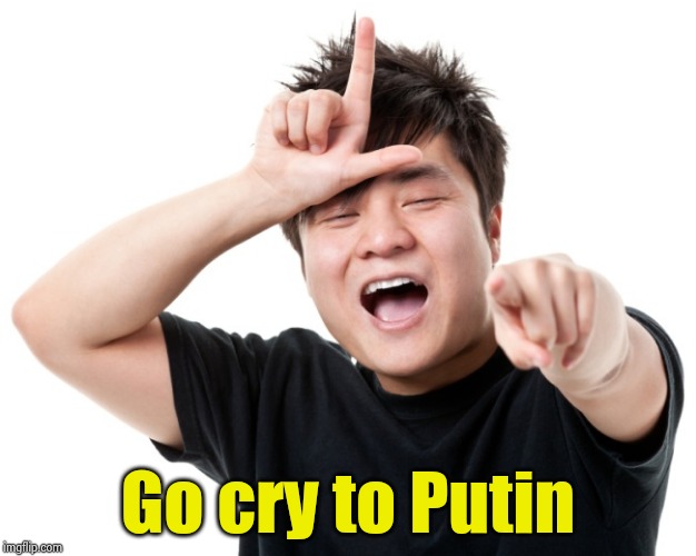 You're a loser | Go cry to Putin | image tagged in you're a loser | made w/ Imgflip meme maker