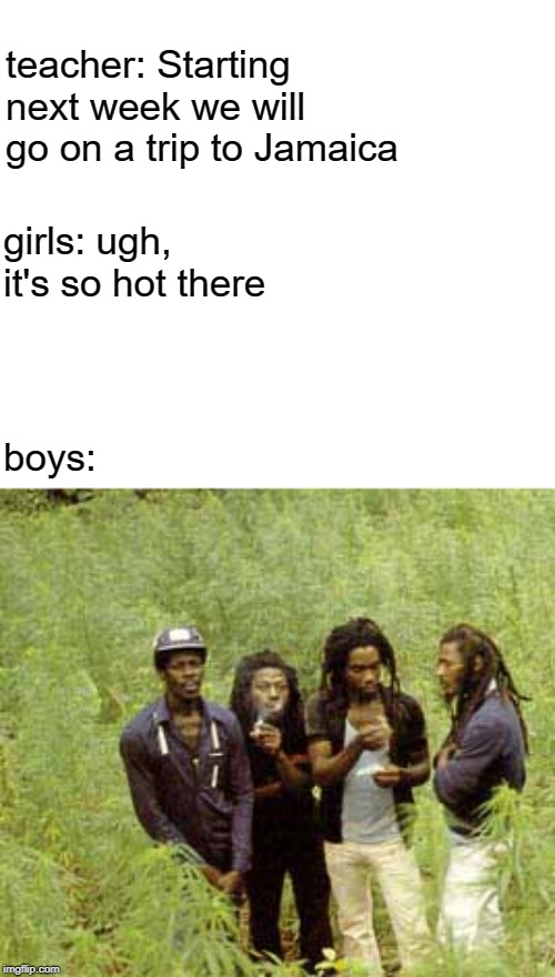 Jamaica in a shellnut | teacher: Starting next week we will go on a trip to Jamaica; girls: ugh, it's so hot there; boys: | image tagged in jamaican,boys vs girls | made w/ Imgflip meme maker