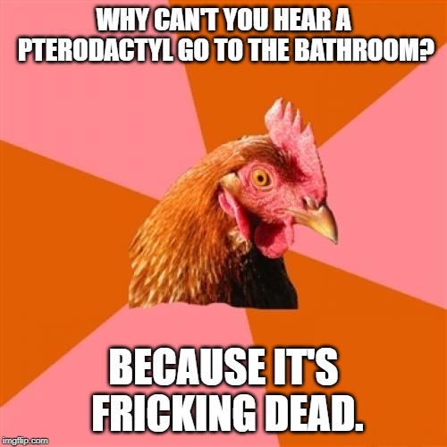 The original answer was, "because the P is silent" | WHY CAN'T YOU HEAR A PTERODACTYL GO TO THE BATHROOM? BECAUSE IT'S FRICKING DEAD. | image tagged in memes,anti joke chicken | made w/ Imgflip meme maker