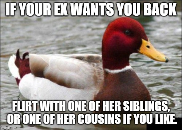 Malicious Advice Mallard Meme | IF YOUR EX WANTS YOU BACK; FLIRT WITH ONE OF HER SIBLINGS, OR ONE OF HER COUSINS IF YOU LIKE. | image tagged in memes,malicious advice mallard | made w/ Imgflip meme maker