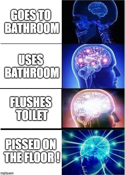 Expanding Brain | GOES TO BATHROOM; USES BATHROOM; FLUSHES TOILET; PISSED ON THE FLOOR
! | image tagged in memes,expanding brain | made w/ Imgflip meme maker