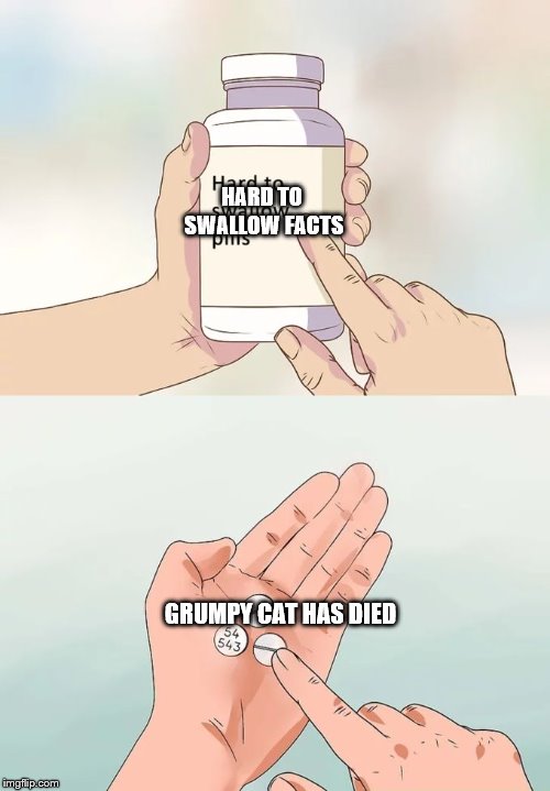 Hard To Swallow Pills | HARD TO SWALLOW FACTS; GRUMPY CAT HAS DIED | image tagged in memes,hard to swallow pills | made w/ Imgflip meme maker