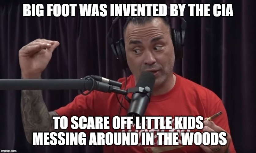 Bigfoot | BIG FOOT WAS INVENTED BY THE CIA; TO SCARE OFF LITTLE KIDS MESSING AROUND IN THE WOODS | image tagged in eddie bravo conspiracy,bigfoot,conspiracy theories | made w/ Imgflip meme maker