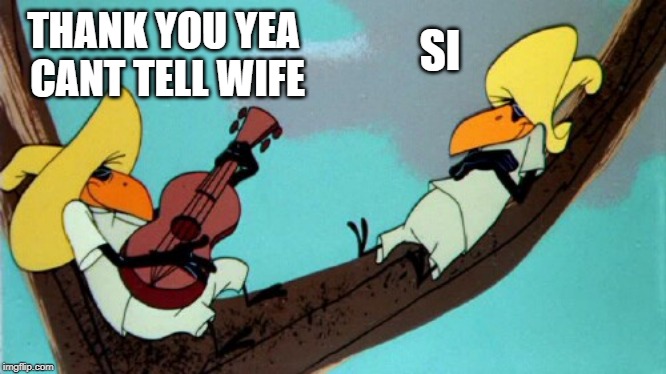 funny | THANK YOU YEA CANT TELL WIFE SI | image tagged in funny | made w/ Imgflip meme maker