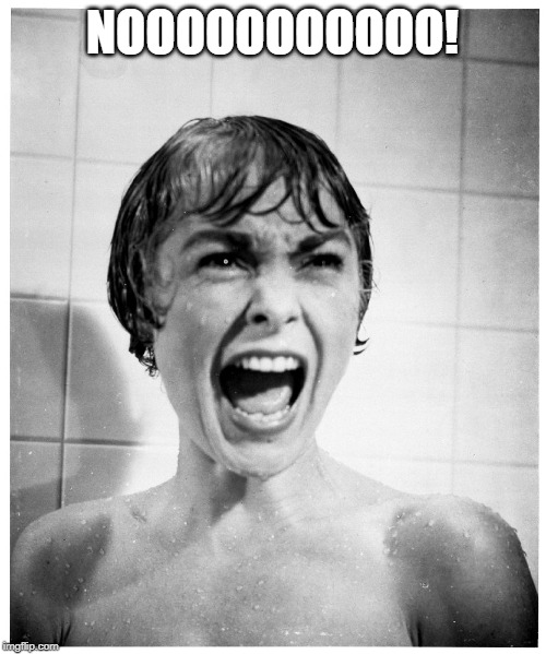 Psycho Shower | NOOOOOOOOOOO! | image tagged in psycho shower | made w/ Imgflip meme maker