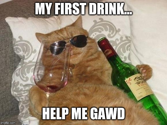 Funny Cat Birthday | MY FIRST DRINK... HELP ME GAWD | image tagged in funny cat birthday | made w/ Imgflip meme maker