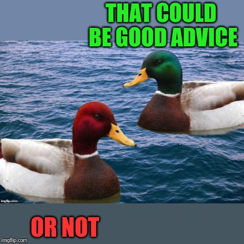 Good Duck/Bad Duck | THAT COULD BE GOOD ADVICE OR NOT | image tagged in good duck/bad duck | made w/ Imgflip meme maker