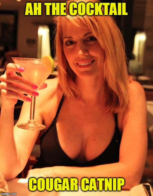 AH THE COCKTAIL; COUGAR CATNIP | image tagged in milf | made w/ Imgflip meme maker