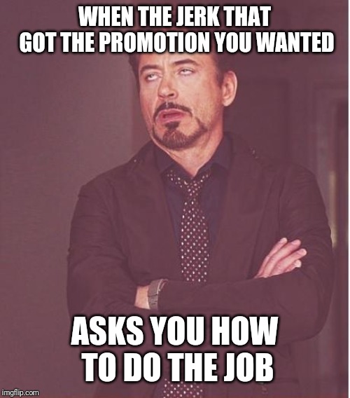 Face You Make Robert Downey Jr Meme | WHEN THE JERK THAT GOT THE PROMOTION YOU WANTED; ASKS YOU HOW TO DO THE JOB | image tagged in memes,face you make robert downey jr | made w/ Imgflip meme maker