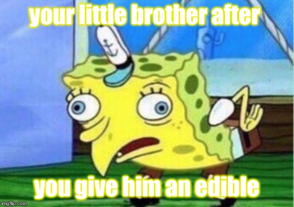 Mocking Spongebob | your little brother after; you give him an edible | image tagged in memes,mocking spongebob | made w/ Imgflip meme maker