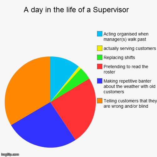 A day in the life of a Supervisor  | image tagged in funny,pie charts | made w/ Imgflip chart maker
