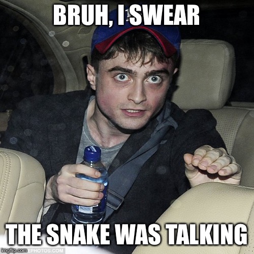 wanna buy some magic | BRUH, I SWEAR; THE SNAKE WAS TALKING | image tagged in wanna buy some magic | made w/ Imgflip meme maker