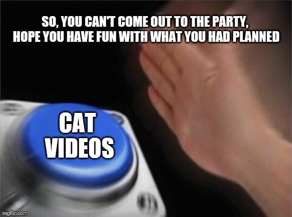 Blank Nut Button Meme | SO, YOU CAN'T COME OUT TO THE PARTY, HOPE YOU HAVE FUN WITH WHAT YOU HAD PLANNED; CAT VIDEOS | image tagged in memes,blank nut button | made w/ Imgflip meme maker