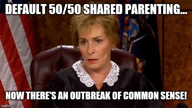 Judge Judy Unimpressed | DEFAULT 50/50 SHARED PARENTING... NOW THERE'S AN OUTBREAK OF COMMON SENSE! | image tagged in judge judy unimpressed | made w/ Imgflip meme maker