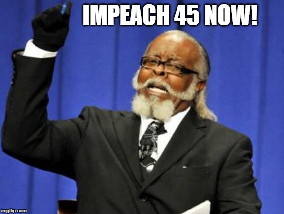 Impeach 45 | IMPEACH 45 NOW! | image tagged in memes,donald trump,impeach trump,democrats,maxine waters,nancy pelosi | made w/ Imgflip meme maker