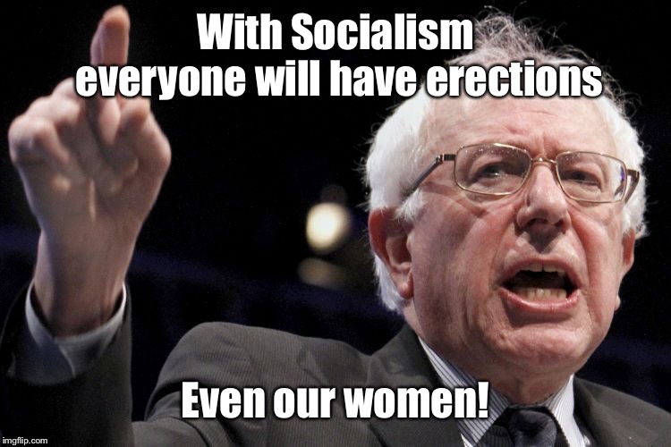 Bernie Sanders | With Socialism everyone will have erections Even our women! | image tagged in bernie sanders | made w/ Imgflip meme maker