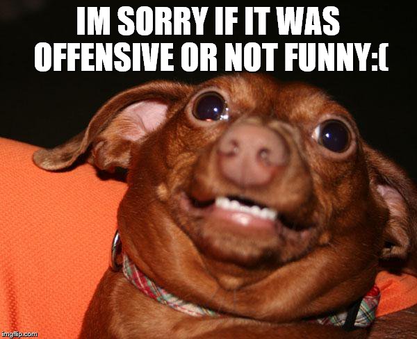 Guys Im Sorry | IM SORRY IF IT WAS OFFENSIVE OR NOT FUNNY:( | image tagged in guys im sorry | made w/ Imgflip meme maker