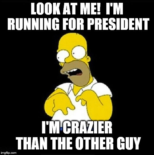 Is this seriously what we've come to? | LOOK AT ME!  I'M RUNNING FOR PRESIDENT; I'M CRAZIER THAN THE OTHER GUY | image tagged in homer simpson retarded,election 2020,democratic party,crazy liberals,communist socialist | made w/ Imgflip meme maker