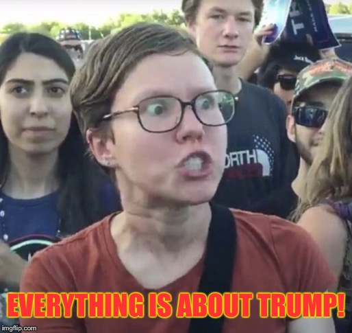 Triggered feminist | EVERYTHING IS ABOUT TRUMP! | image tagged in triggered feminist | made w/ Imgflip meme maker