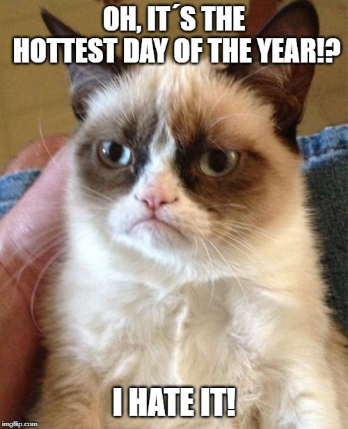 Grumpy Cat Meme | OH, IT´S THE HOTTEST DAY OF THE YEAR!? I HATE IT! | image tagged in memes,grumpy cat | made w/ Imgflip meme maker