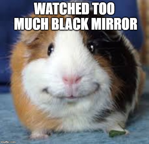 Guinea Pig | WATCHED TOO MUCH BLACK MIRROR | image tagged in guinea pig | made w/ Imgflip meme maker