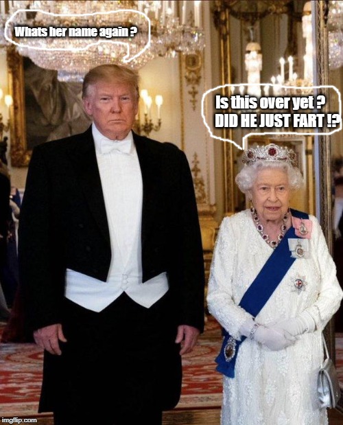 Queen and her Jester | Whats her name again ? Is this over yet ?     DID HE JUST FART !? | image tagged in queen and her jester | made w/ Imgflip meme maker