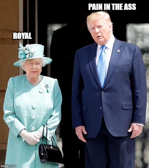 Royal Nightmare | PAIN IN THE ASS; ROYAL | image tagged in royal nightmare | made w/ Imgflip meme maker