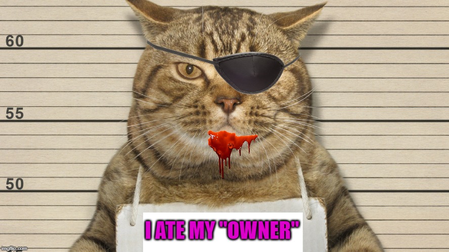 cat - fill in the blank | I ATE MY "OWNER" | image tagged in cat - fill in the blank | made w/ Imgflip meme maker