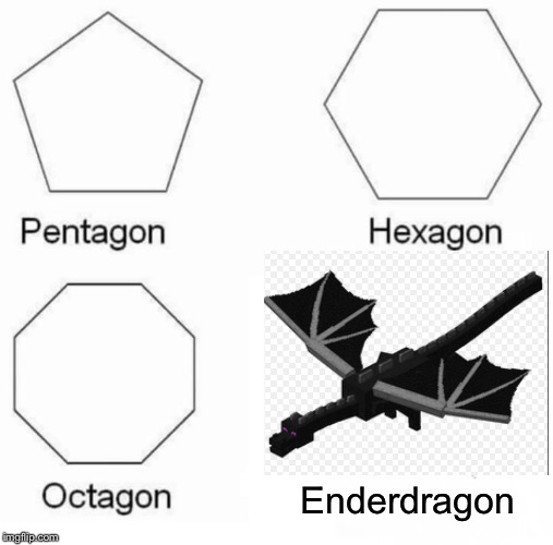 Pentagon Hexagon Octagon | Enderdragon | image tagged in memes,pentagon hexagon octagon | made w/ Imgflip meme maker