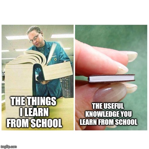 Big book vs Little Book | THE USEFUL KNOWLEDGE YOU LEARN FROM SCHOOL; THE THINGS I LEARN FROM SCHOOL | image tagged in big book vs little book | made w/ Imgflip meme maker