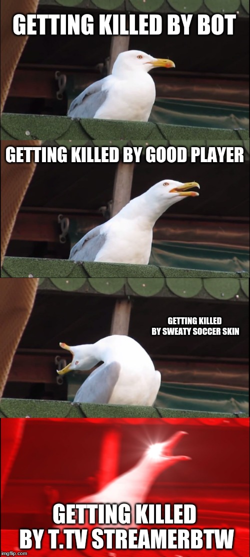 Inhaling Seagull Meme | GETTING KILLED BY BOT; GETTING KILLED BY GOOD PLAYER; GETTING KILLED BY SWEATY SOCCER SKIN; GETTING KILLED BY T.TV STREAMERBTW | image tagged in memes,inhaling seagull | made w/ Imgflip meme maker