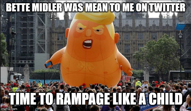 Trump Balloon | BETTE MIDLER WAS MEAN TO ME ON TWITTER; TIME TO RAMPAGE LIKE A CHILD | image tagged in trump balloon | made w/ Imgflip meme maker