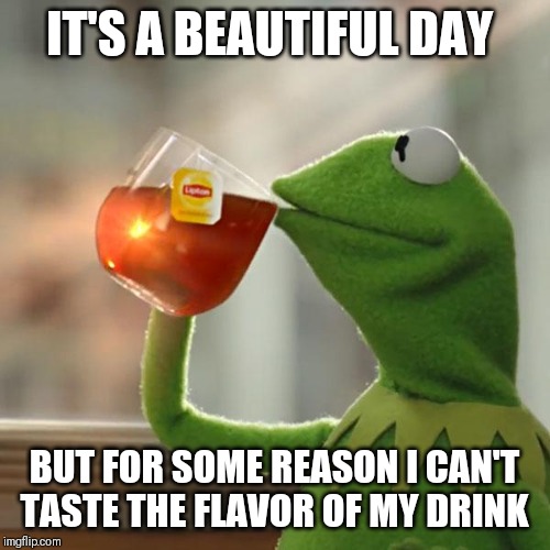 But That's None Of My Business Meme | IT'S A BEAUTIFUL DAY; BUT FOR SOME REASON I CAN'T TASTE THE FLAVOR OF MY DRINK | image tagged in memes,but thats none of my business,kermit the frog | made w/ Imgflip meme maker