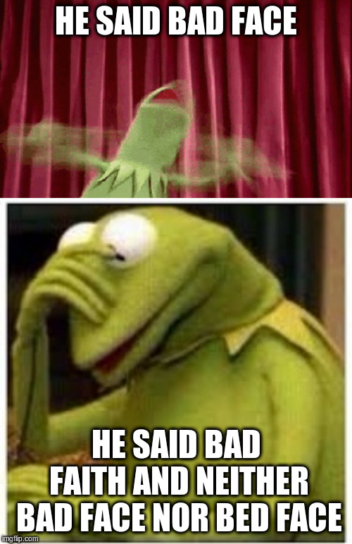  HE SAID BAD FACE; HE SAID BAD FAITH AND NEITHER BAD FACE NOR BED FACE | image tagged in kermit face palm,panic kermit | made w/ Imgflip meme maker