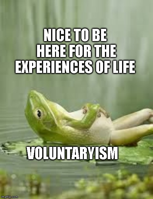 life is good | NICE TO BE HERE FOR THE EXPERIENCES OF LIFE; VOLUNTARYISM | image tagged in life is good | made w/ Imgflip meme maker