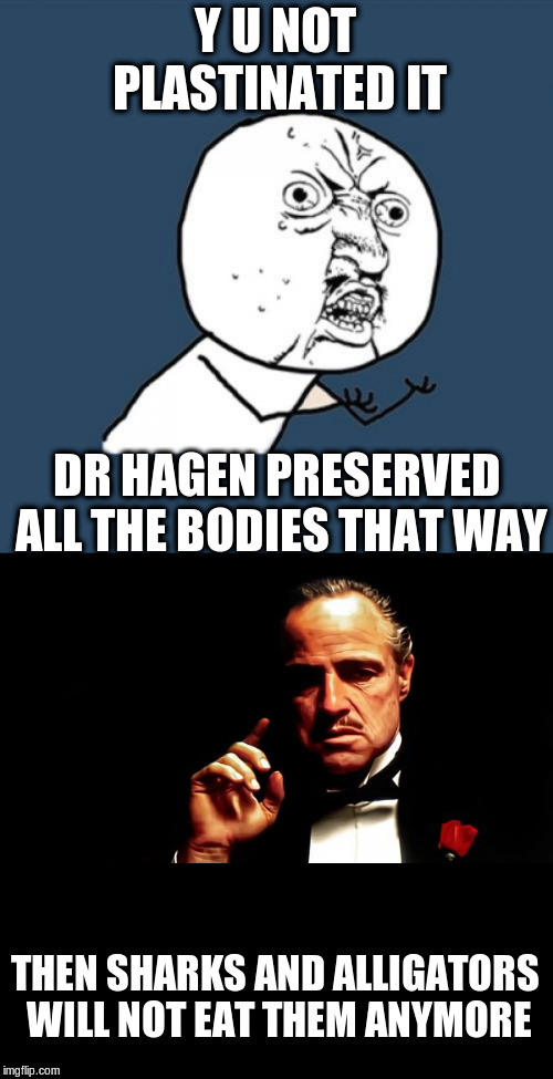 Y U NOT PLASTINATED IT DR HAGEN PRESERVED ALL THE BODIES THAT WAY THEN SHARKS AND ALLIGATORS WILL NOT EAT THEM ANYMORE | image tagged in memes,y u no,godfather business | made w/ Imgflip meme maker