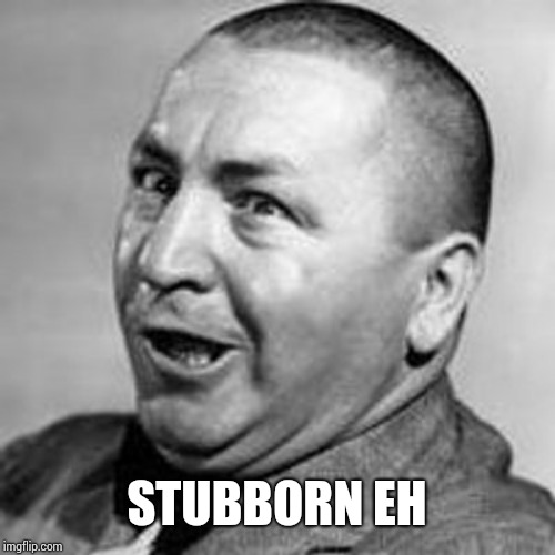 Curly | STUBBORN EH | image tagged in curly | made w/ Imgflip meme maker