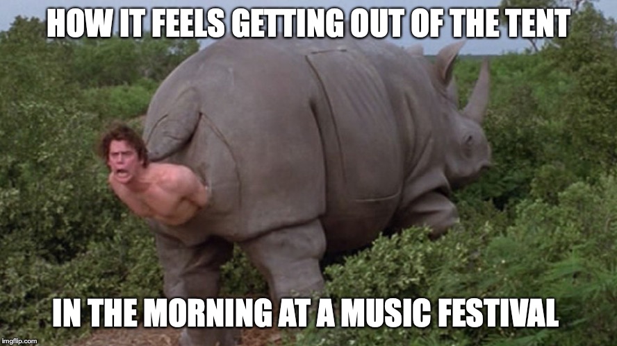 Ace Ventura rhino | HOW IT FEELS GETTING OUT OF THE TENT; IN THE MORNING AT A MUSIC FESTIVAL | image tagged in ace ventura rhino | made w/ Imgflip meme maker