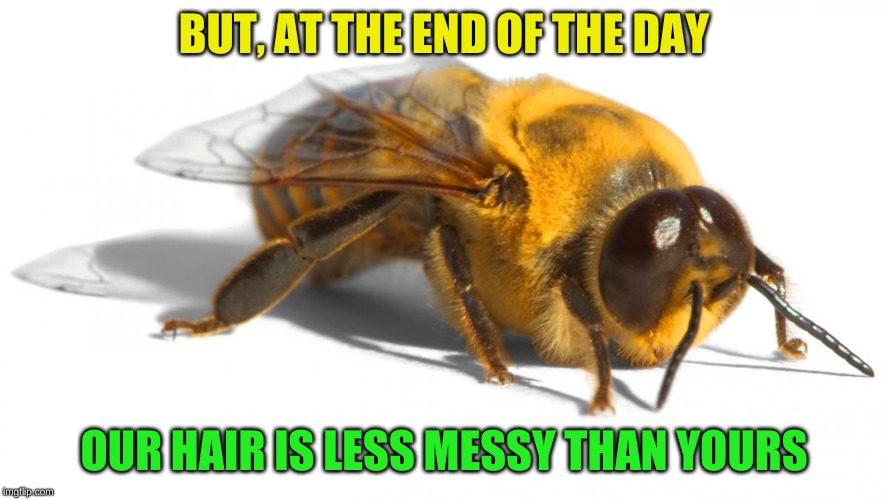 bumblebee | BUT, AT THE END OF THE DAY OUR HAIR IS LESS MESSY THAN YOURS | image tagged in bumblebee | made w/ Imgflip meme maker
